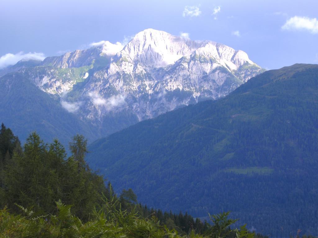 Gasthof Zum Loewen Sankt Jakob im Lesachtal Dış mekan fotoğraf