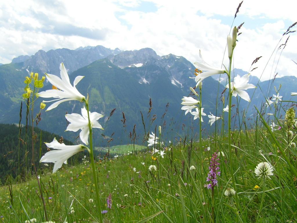 Gasthof Zum Loewen Sankt Jakob im Lesachtal Dış mekan fotoğraf