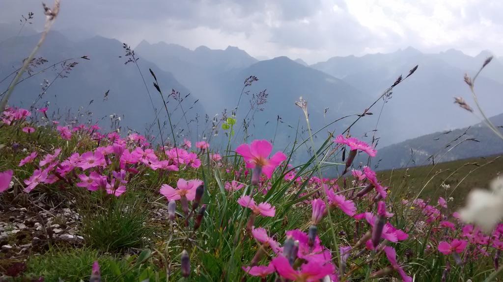 Gasthof Zum Loewen Sankt Jakob im Lesachtal Dış mekan fotoğraf