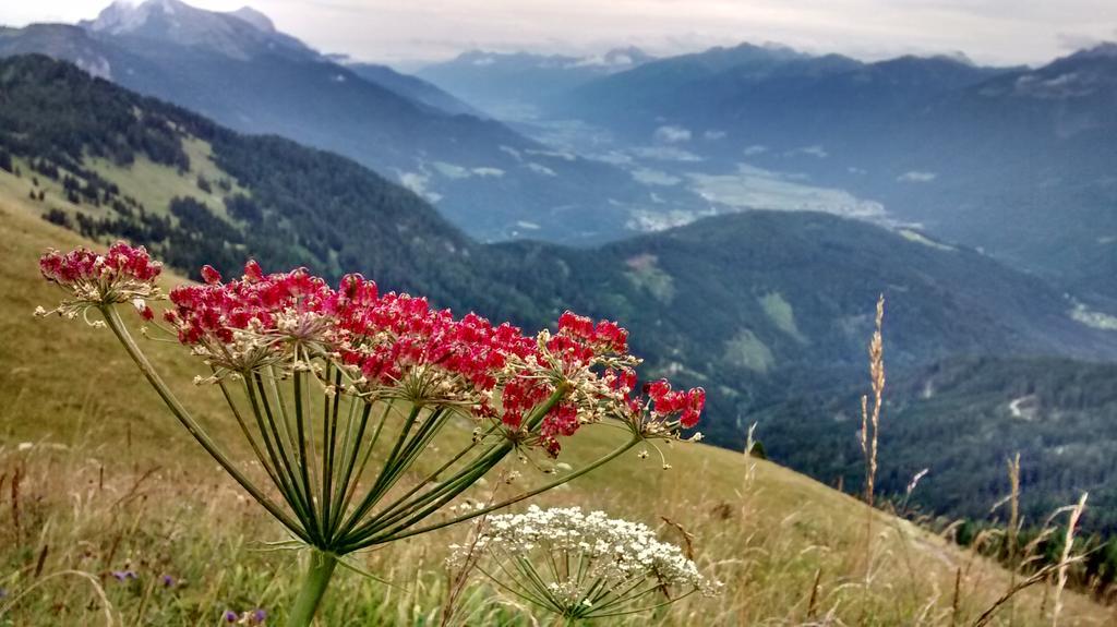 Gasthof Zum Loewen Sankt Jakob im Lesachtal Dış mekan fotoğraf