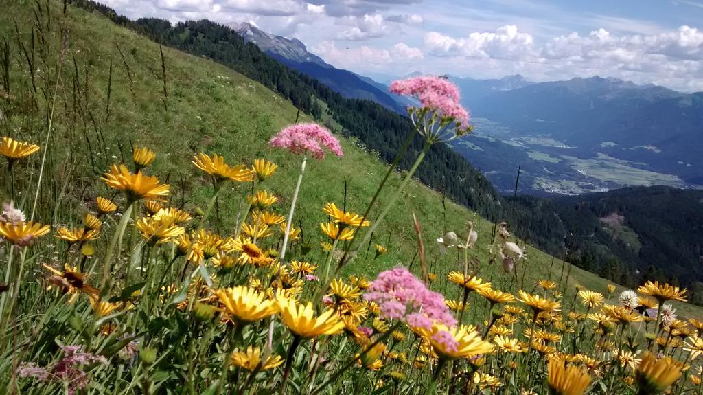 Gasthof Zum Loewen Sankt Jakob im Lesachtal Dış mekan fotoğraf