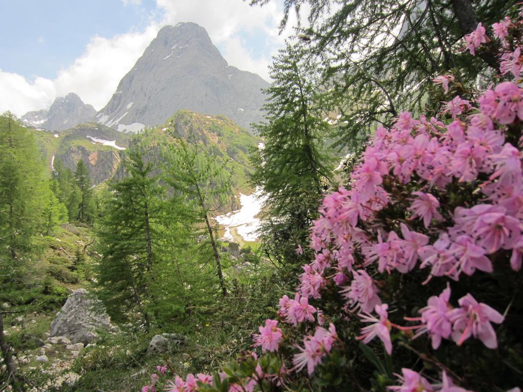 Gasthof Zum Loewen Sankt Jakob im Lesachtal Dış mekan fotoğraf