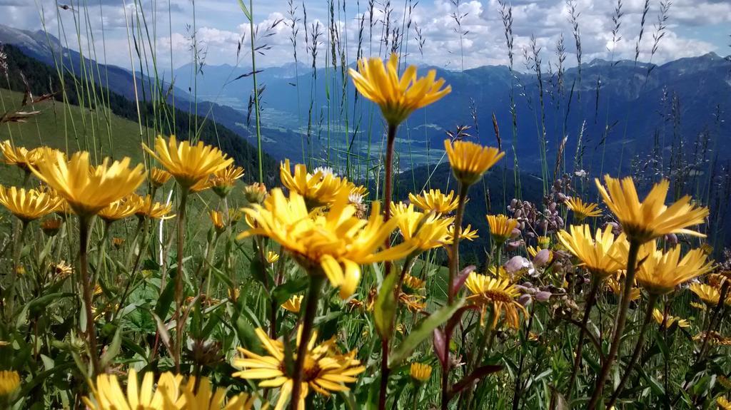 Gasthof Zum Loewen Sankt Jakob im Lesachtal Dış mekan fotoğraf