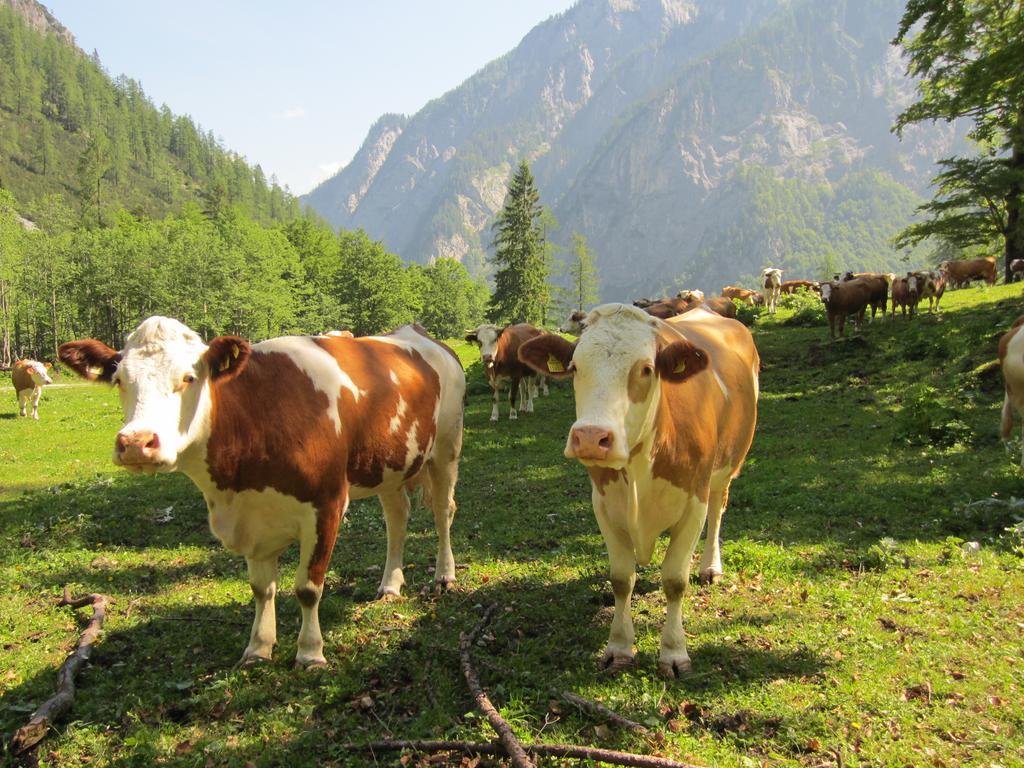 Gasthof Zum Loewen Sankt Jakob im Lesachtal Dış mekan fotoğraf