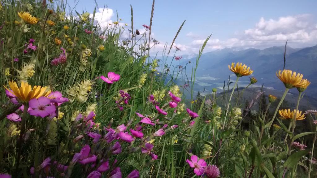Gasthof Zum Loewen Sankt Jakob im Lesachtal Dış mekan fotoğraf